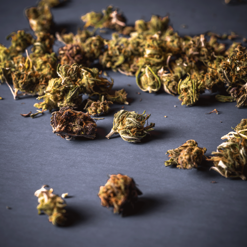 Smalls01 Fields of Hemp