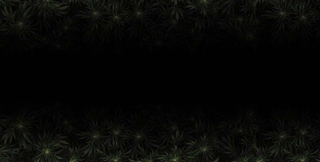 sectional banner optimized Fields of Hemp