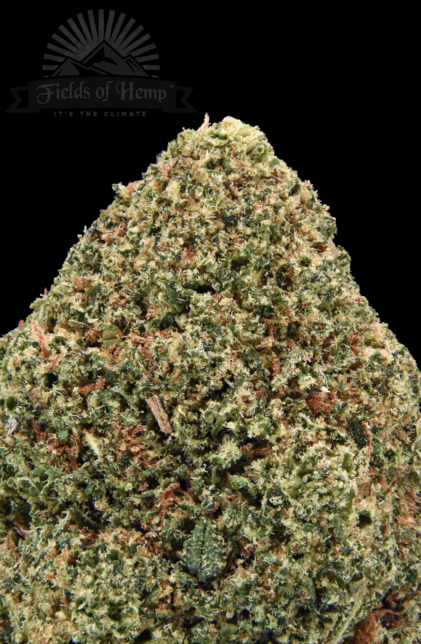 Bubba Kush NEW 2025 - Image 3