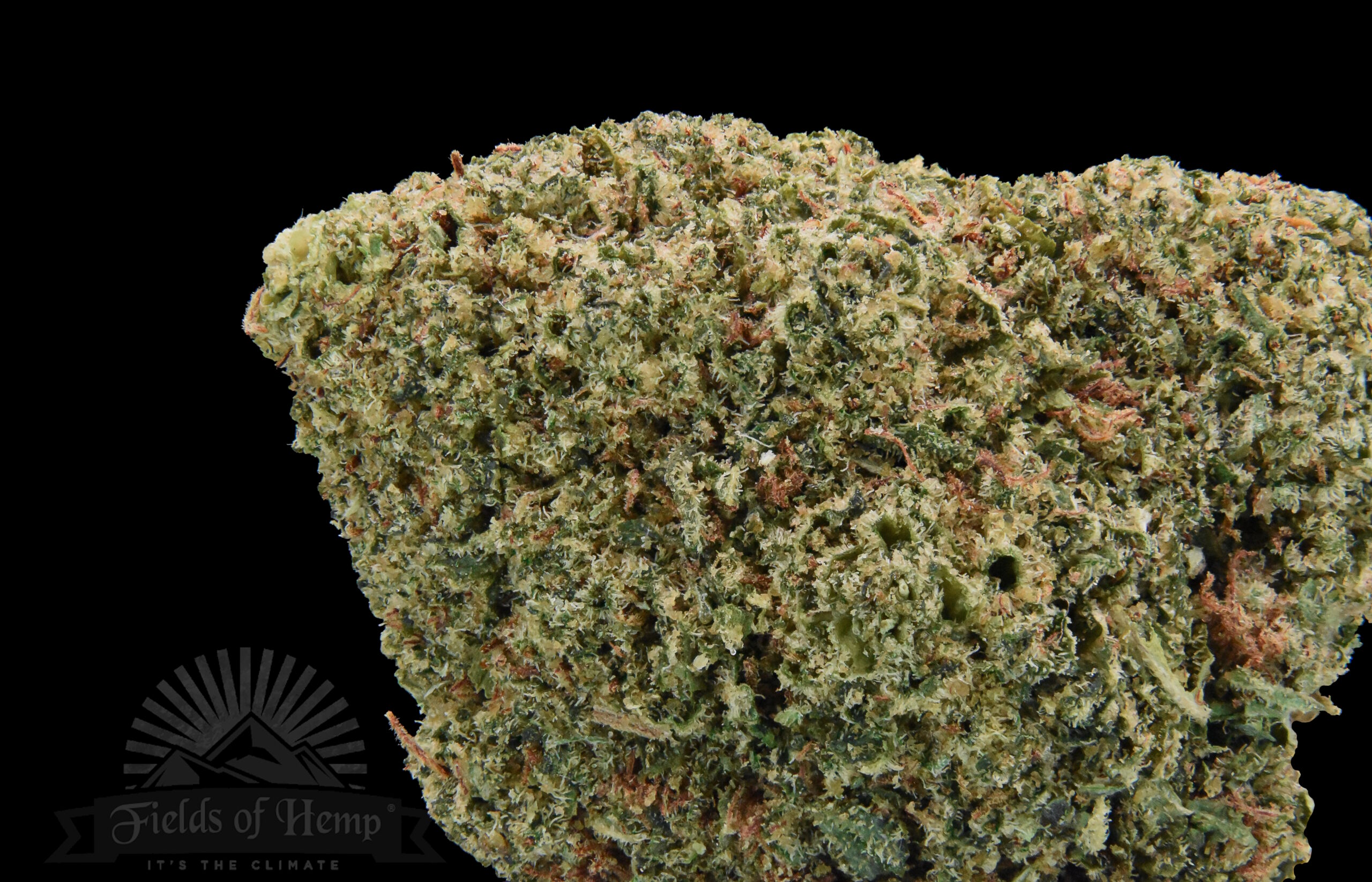 Bubba Kush NEW 2025 - Image 2