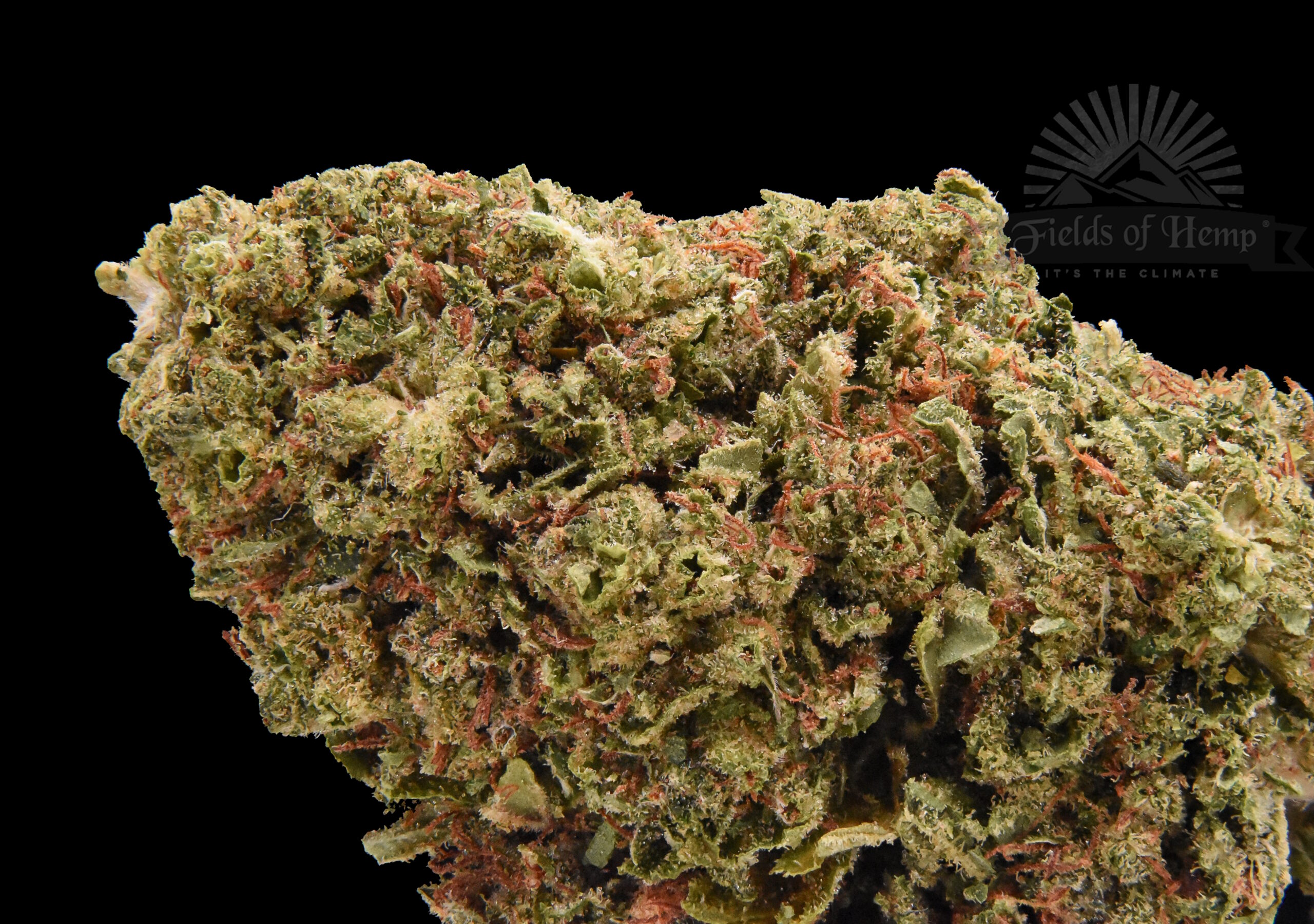 Pineapple Kush NEW 2025 - Image 3