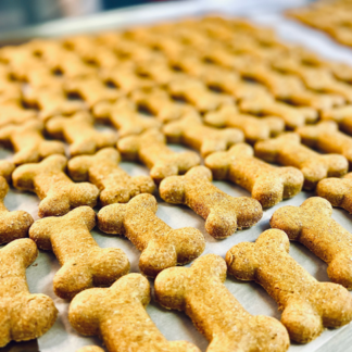 CBD for Dogs / Pet Treats